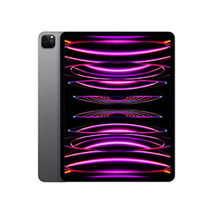 iPad Pro 12.9インチ (第６世代) 256GB